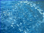 100_0556 (SHPX001)